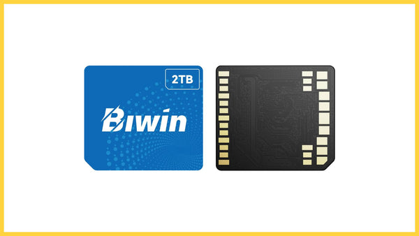 BiWin CL100 Mini - A 1g swappable SSD for handhelds