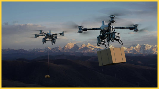 DJI FlyCart 100 - Everything You Need to Know