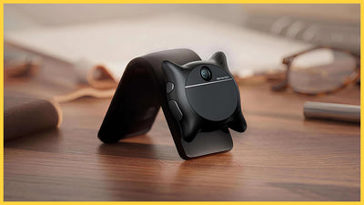 Looki L1 - Top 10 Questions and Answers