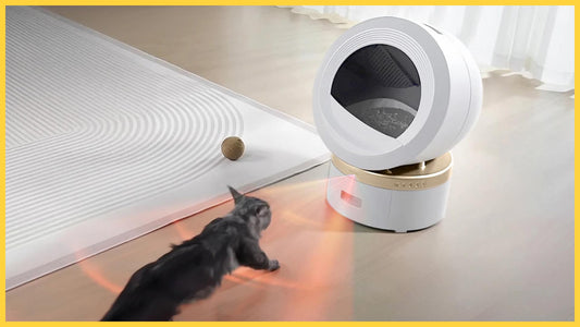 MOVA MeowgicPod LR10 Prime - Everything You Need to Know