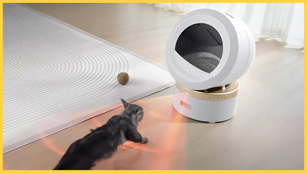 MOVA MeowgicPod LR10 Prime - Everything You Need to Know