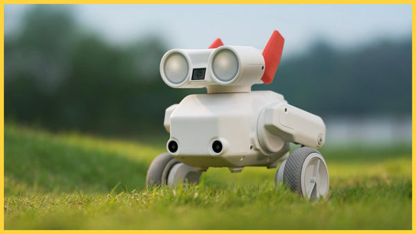 Mondo Robotics Beni - The Robot Cameraman That Actually Works