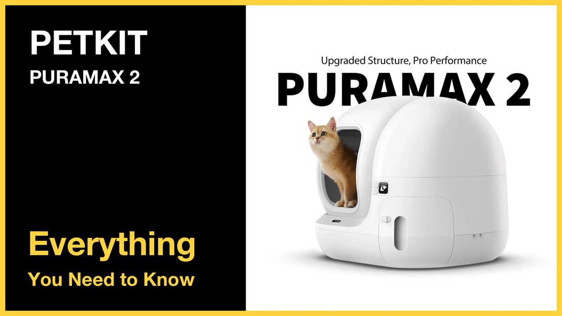PETKIT Pura Max 2 - Everything You Need to Know in 2025