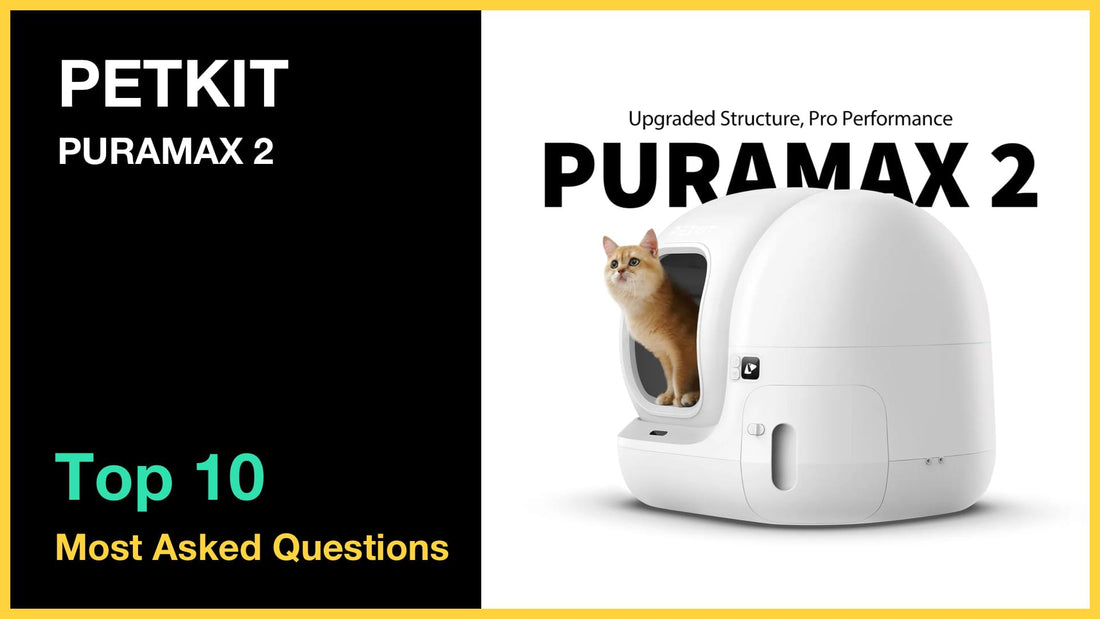 PETKIT Pura Max 2 - Top 10 Questions and Answers