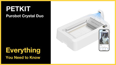 PETKIT Purobot Crystal Duo - Everything You Need to Know