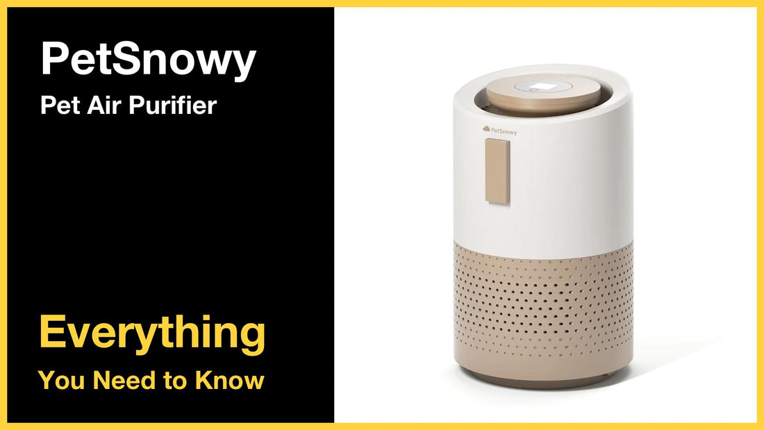 PetSnowy Pet Air Purifier - Everything You Need to Know