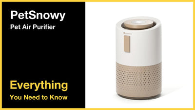 PetSnowy Pet Air Purifier - Everything You Need to Know