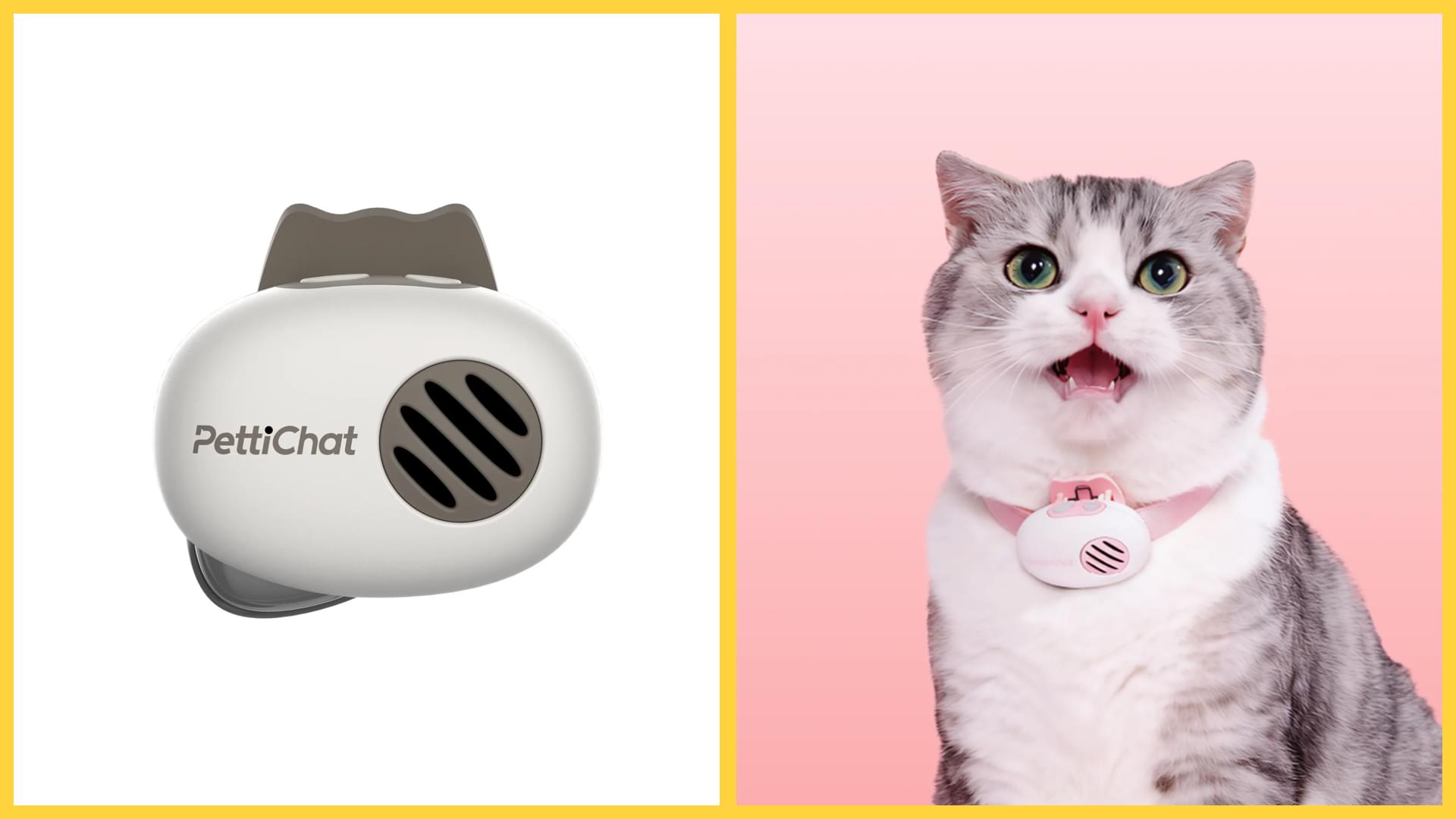 PettiChat - Real-Time AI Pet Translator & GPS Tracker