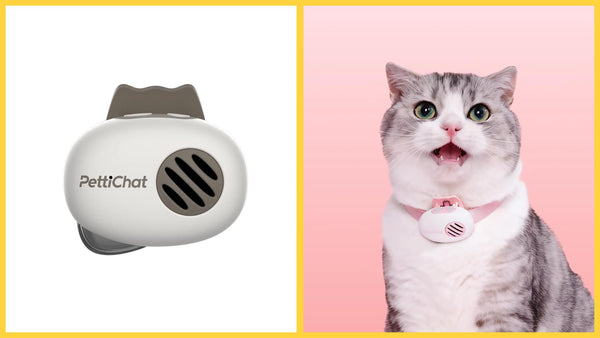 PettiChat - Real-Time AI Pet Translator & GPS Tracker
