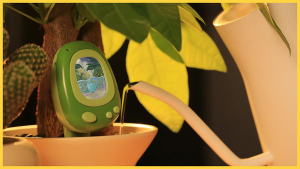 PlantSenso - The Tamagotchi for Plants
